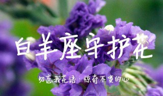 十二星座分别有12个什么星座(十二星座有哪些)