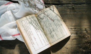 养育的近义词(养育什么意思)