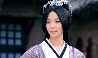 卫子夫大结局(电视剧卫子夫的大结局是什么吗)
