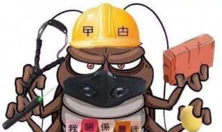曱甴怎么读(曱甴概况)