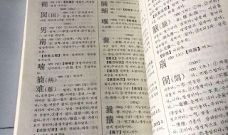 仍然怎么读(仍然是什么意思)
