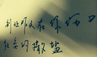别在伤口洒盐歌词(别在伤口撒盐歌词介绍)