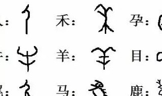 甲骨文拼音(甲骨文拼音是什么)