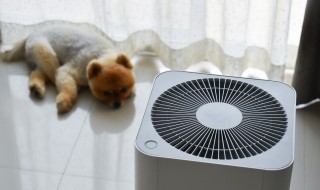 空气密度一般是多少(一般空气密度是多少呢)