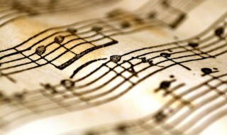 呼喊你的名字歌词(歌曲呼喊你的名字歌词)