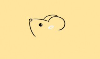 小老鼠的特点(了解一下)