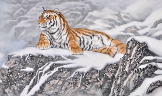 下山虎的含义(下山虎是什么意思)
