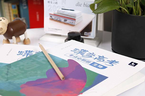 女孩子经商学什么专业