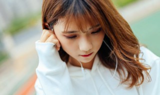 问世间是否此山最高是什么歌(问世间是否此山最高歌词原文)