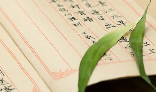 妄想的近义词(妄想的近义词有哪些)