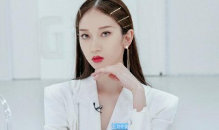 刘令姿个人资料(刘令姿的简介)