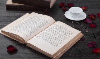 苹果手机序列号代表什么意思(苹果手机序列号解释)