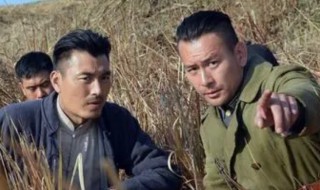 徐僧主演的电视剧都有哪些(徐僧主演的电视剧都有什么)