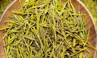 黄金芽茶属于什么茶类(黄金芽茶属于哪类茶)