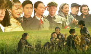 国家孩子电视剧全集剧情介绍(主要讲述的是什么故事)