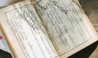 雨披打一成语(雨披打一成语是什么)