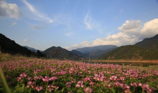 路边的野花不要采歌词(路边的野花不要采的具体歌词)