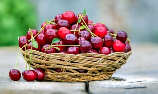 车厘子的功效与作用及禁忌(车厘子的功效与作用及禁忌有哪些)