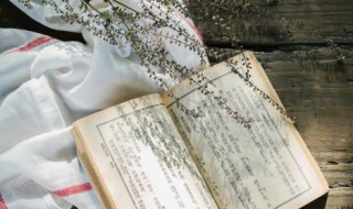 梨花带雨受是什么意思(梨花带雨受的解释)