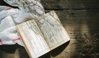 夜上受降城闻笛的意思(夜上受降城闻笛的含义)