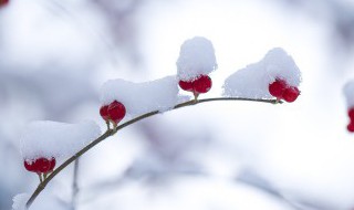 冬月是几月份(冬月是指什么时候)