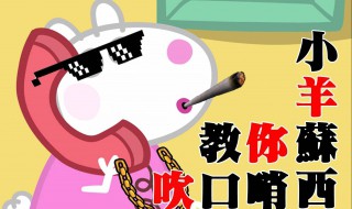 吹口哨教程(你知道口哨是怎么吹的吗)