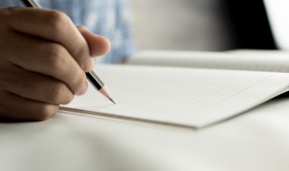 桃李满天下下一句赞美老师的句子(关于桃李满天下下一句赞美老师的句子)