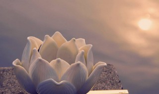 镜中花水中月是什么意思(具体是怎么解释的)