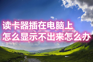 读卡器插在电脑上怎么显示不出来怎么办(读卡器插在电脑上怎么显示不出来的