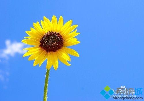 如何找回已删除的QQ好友？找回几年前已被删除的qq好友