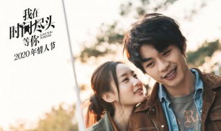 我在时间尽头等你到底讲的什么(我在时间尽头等你的剧情简介)