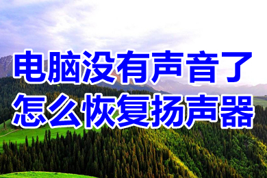 电脑没有声音了怎么恢复扬声器(电脑扬声器没有声音了的解决办法)