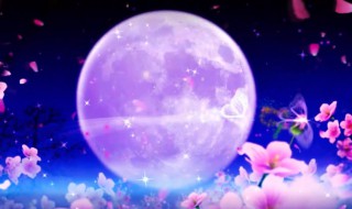 花好月圆歌曲歌词(花好月圆歌词全文)