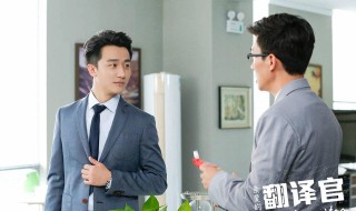 亲爱的翻译官结局(剧情讲述了什么故事)