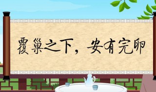 倾巢之下岂有完卵意思(倾巢之下岂有完卵是什么意思)