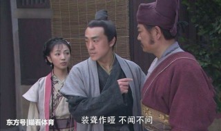大宋提刑官剧情(大家一起来看看吧)