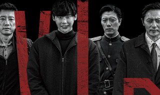 vip讲的是什么(韩国电影VIP剧情简介)