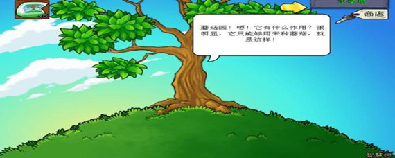 植物大战僵尸智慧树的所有话有什么(智慧树所有话)