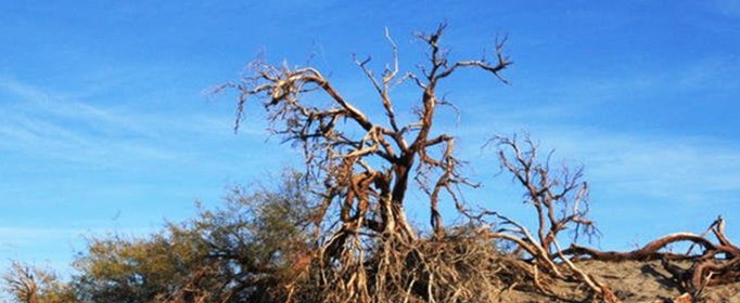 世界八大禁地是哪？