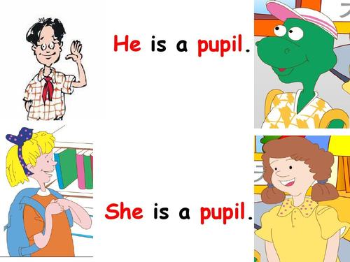 pupil是什么意思