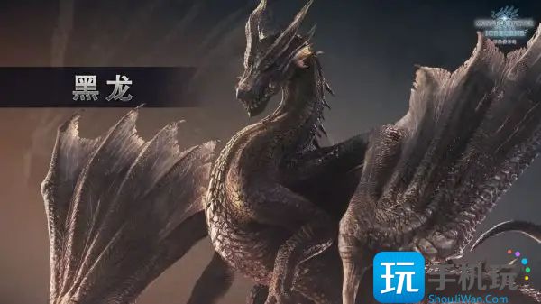怪物猎人世界黑龙任务怎么触发(黑龙任务触发方法)