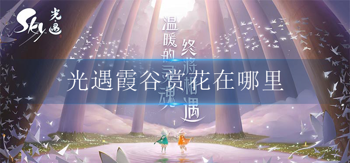 光遇霞谷赏花在哪里(赏花位置介绍)