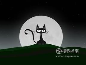 什么猫两条腿6个字答案