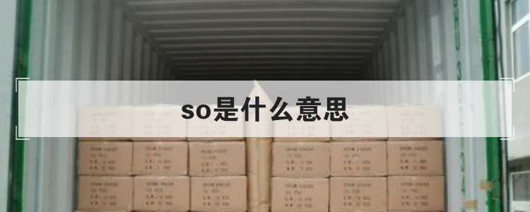 so是什么意思