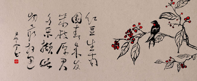 “红豆生南国”的“红豆”到底是什么？