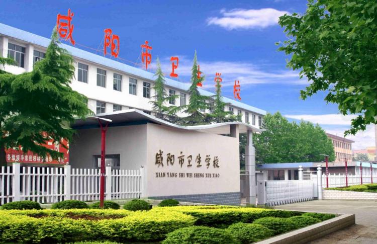 gate什么意思