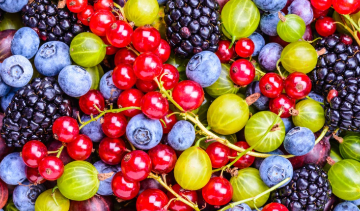 fruit是什么意思