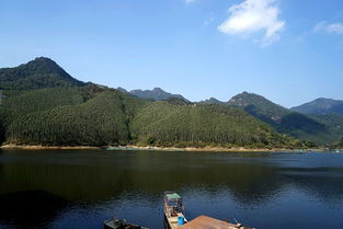 flat是什么意思