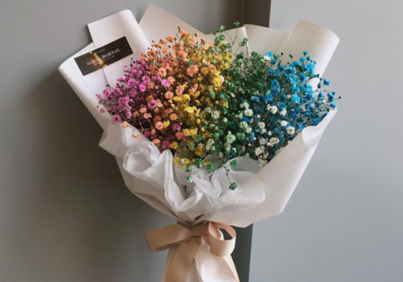  满天星的花语是什么