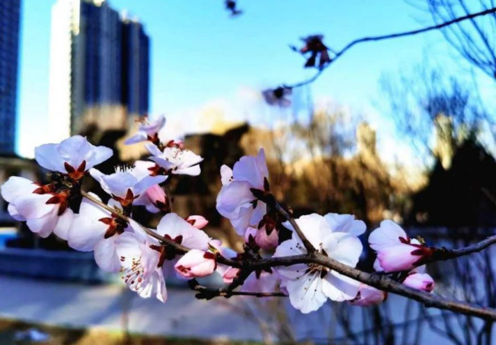 april是什么意思